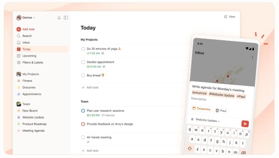 Todoist platform